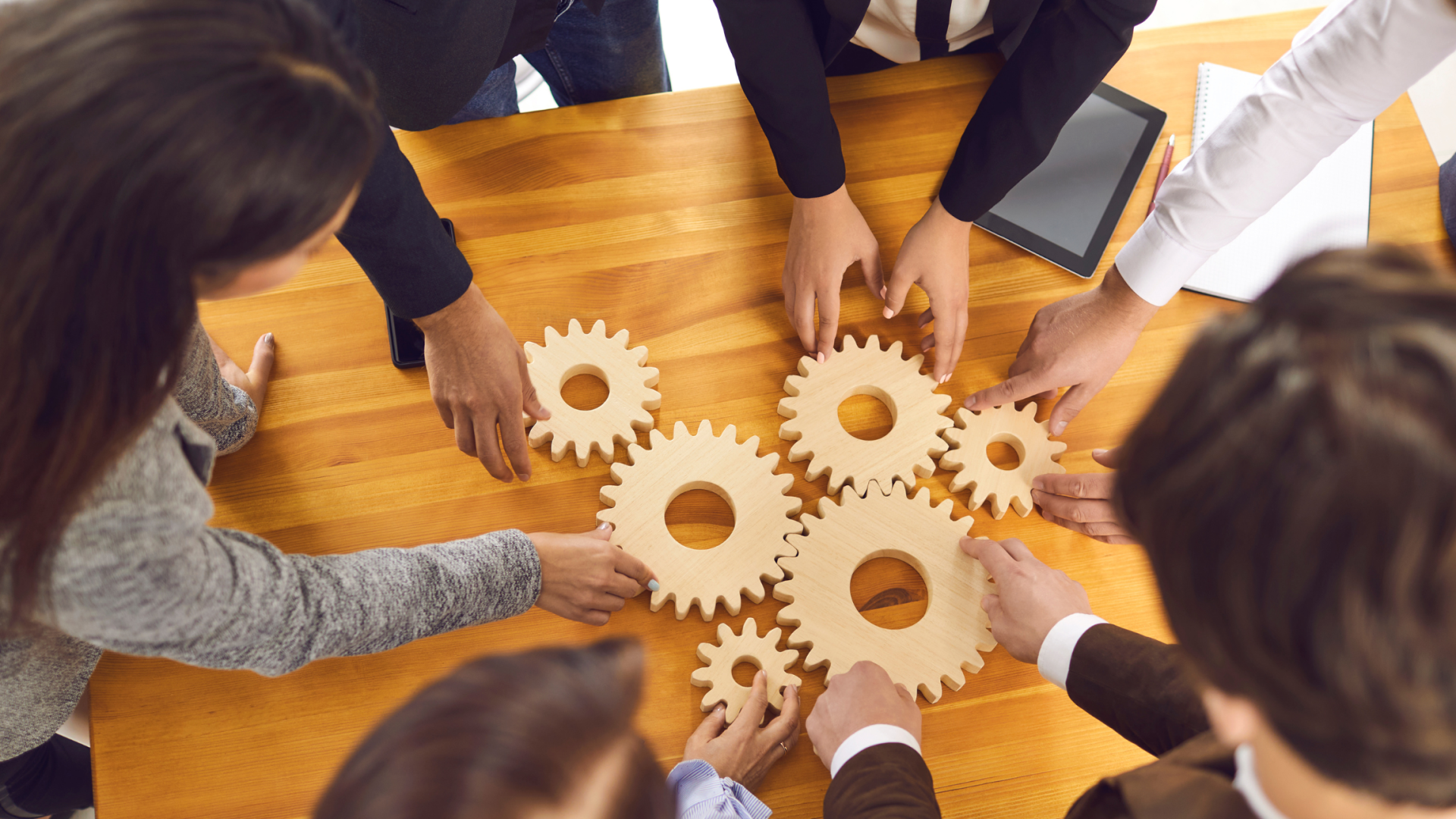 People working together on cogs
